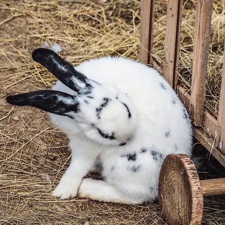 شقة S Velkou Terasou Luxus Tatry E106 *